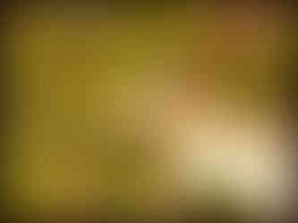 journeys & scorpions | travelblog | Sri Lanka | Wilpattu National Parc | Calotes sp. | Lizard