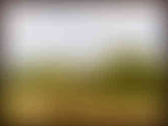 journeys & scorpions | travelblog | Sri Lanka | Wilpattu National Parc | Steppe Wilpattu