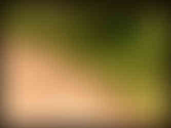 journeys & scorpions | travelblog | Sri Lanka | Wilpattu National Parc | Birds