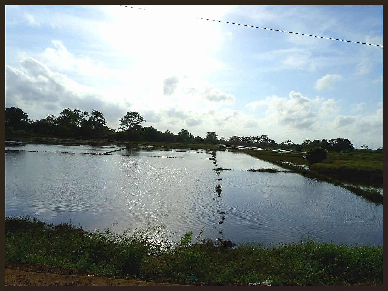 journeys & scorpions | travelblog | Sri Lanka | Near Puttalam