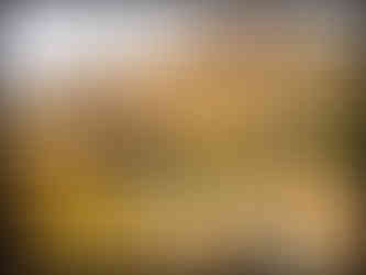 journeys and scorpions travelblog | Jordan, Dana Tower Hotel