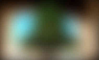 journeys and scorpions travelblog | Spain, Andalusia - Cadiz, Catedral de Cadiz