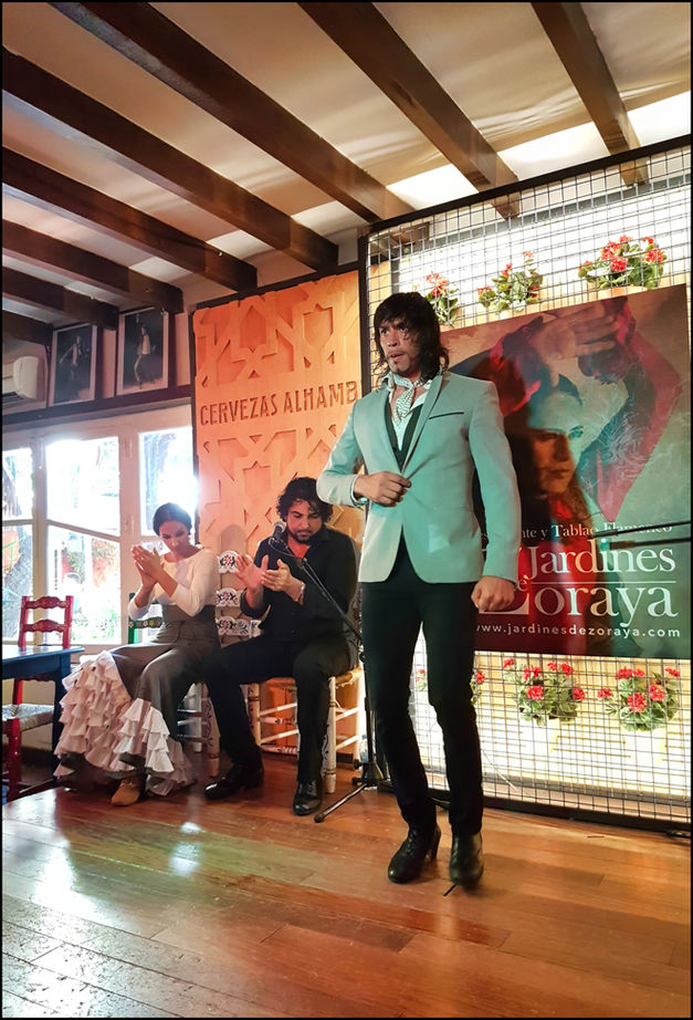 journeys and scorpions travelblog | Spain-Andalusia, Granada | Jardines de Zoraya, Flamenco Show | Luis de Luis