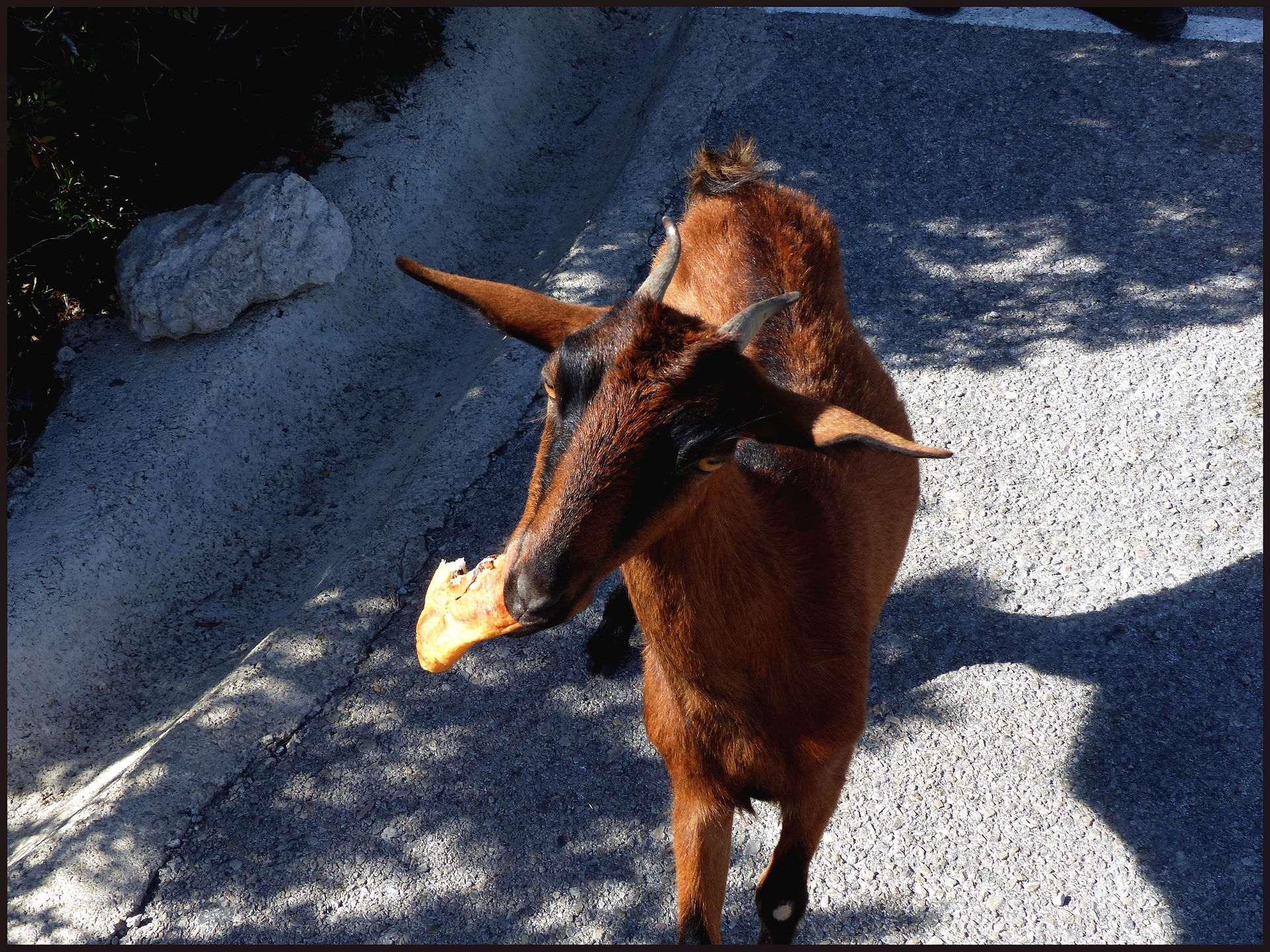 journeys & scorpions | travelblog | Spain Mallorca | Cap Formentor | Far Formentor