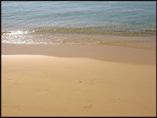 journeys & scorpions | travelblog | Tunisia | Hammamet Beach