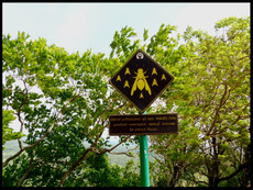 journeys & scorpions | travelblog | Sri Lanka | Sigiriya Rock | Bumble Bee instruction