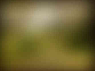 journeys & scorpions | travelblog | Sri Lanka | Wilpattu National Parc | Landscape