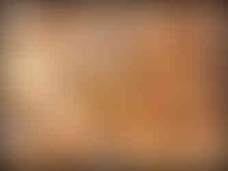 journeys & scorpions travel blog | Morocco Ait Tahra | Scorpion Buthus sp.