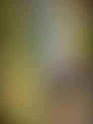 journeys and scorpions travelblog | Vietnam-Sapa, Love Waterfall Suối Vàng Thác Tình Yêu