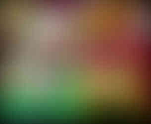 journeys and scorpions travelblog | Vietnam, Hanoi, Dong Kinh Nghia Thuc Square, Streetfood