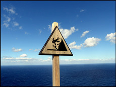 journeys & scorpions | travelblog | Spain Mallorca | Cap Formentor