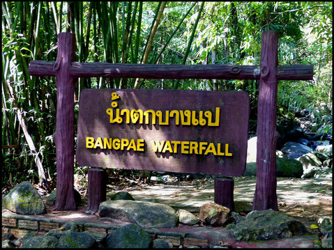 journeys & scorpions | travelblog | Thailand-Phuket | Gibbon Rescue station | Gibbon Rehabilitation Project