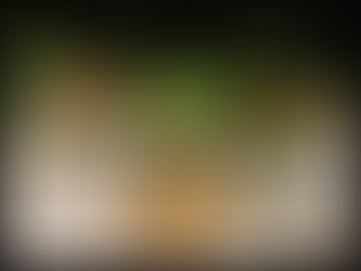 journeys & scorpions | travelblog | Greece-Rhodes | Profitis Ilias | Salakos Holding Bay