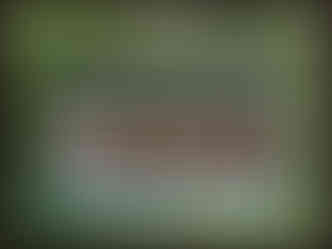 journeys & scorpions | travelblog | Sri Lanka | Wilpattu National Parc