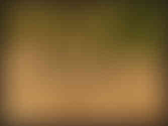 journeys & scorpions | travelblog | Sri Lanka | Wilpattu National Parc | Varanus sp.