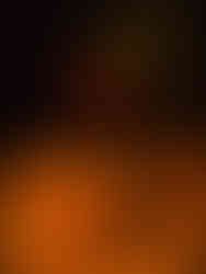 journeys and scorpions travelblog | Spain Mallorca 2017 | Finca Biniali