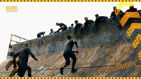 GIF SELECTS_8_1