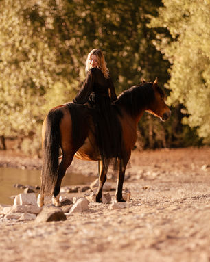 Pferdefotografie in Groß-Gerau. Mit Pferd am Wasser. Frau sitzt auf ihrem Pferd und trägt ein schwarzes Kleid.