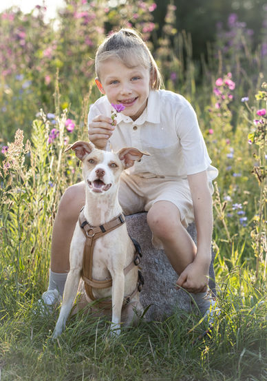 Kinderfotoshooting mit Hund in Groß-Gerau. Junge sitzt auf einem Stein. Vor ihm sitzt sein Hund.