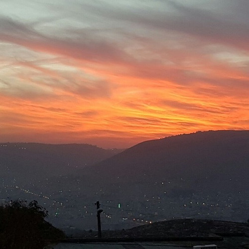 FREE YeshivaSukkatDavid free-yeshivasukkatdavid