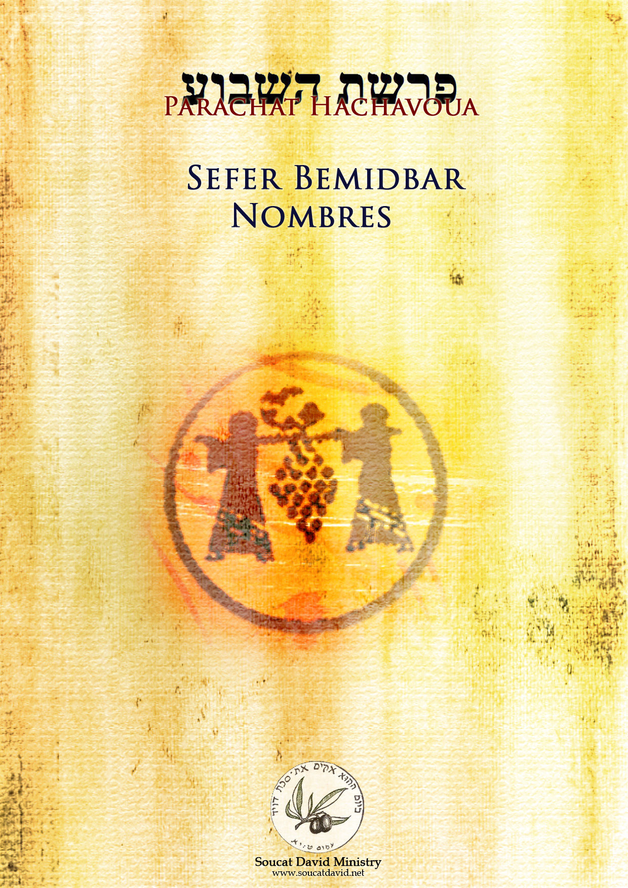 LE MESSIE DANS LE LIVRE DE NOMBES- BÉMIDBAR E-BOOK