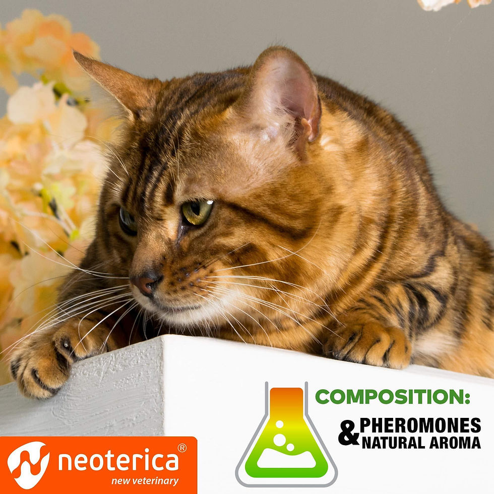 Thumbnail: Calming Pheromone Spray Scratch Repellent for Cats Reduce Stress During Travel