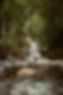 Stepping stones.jpg