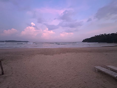 IMG_4484.jpeg