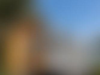 Discover Your Dream Tiny Home: Available Now for Immediate Delivery!