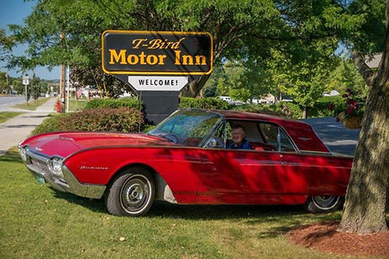 Red T-Bird on the Lawn