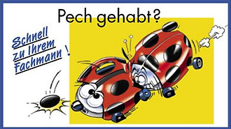 kaefer neu.jpg