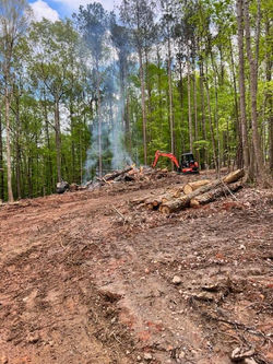 Lot Clearing