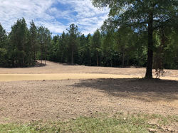 New Pond Site