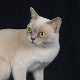 Kemah Aug 2024 (8).JPG