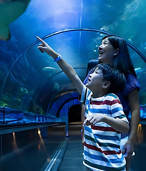 INT-SeaWorld.png