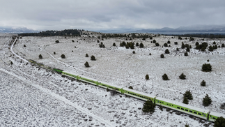 Tras chocar contra animales el Tren Patagónico restablece el servicio entre Viedma y Bariloche