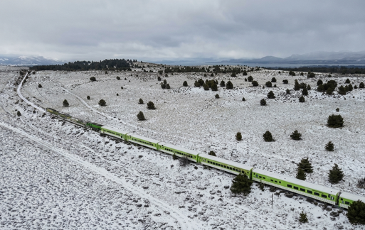 Tras chocar contra animales el Tren Patagónico restablece el servicio entre Viedma y Bariloche