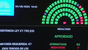 Discapacidad: Rechazaron el veto de Milei