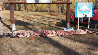 Decomisaron 300 kilos de carne por faena clandestina