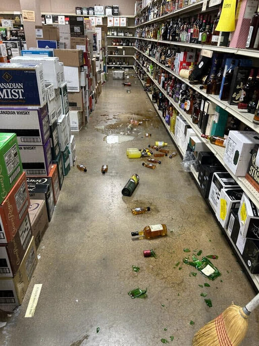 Un mapache se emborrachó y casi se muere en un local de bebidas alcohólicas.