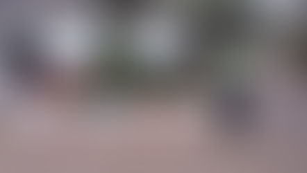 Corderos que no llegaron a la parrilla. Decomisan gran cantidad de carne ovina.