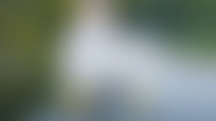 Flotadas en balsa sobre el rio Negro