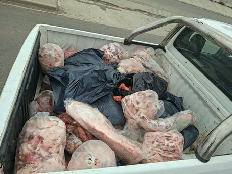 Decomisaron más de 2.000 kilos de carne