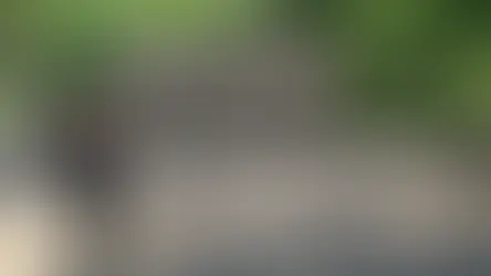 Un llamado a la línea 145 permitió activar una intervención en Alto Valle