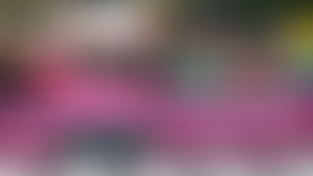 Reparación histórica para personas travestis y trans