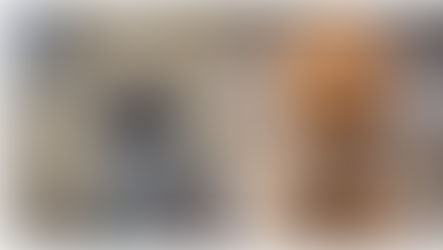 Abandonó a su mascota en el Aeropuerto