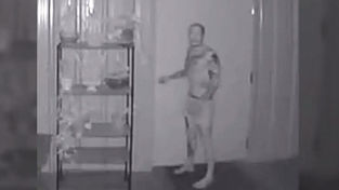 Notaron algo extraño en casa, bajaron al sótano y el hallazgo fue perturbador