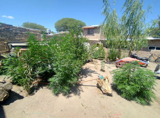 Allanamiento en Roca: secuestran armas, drogas y un joven es notificado en causa