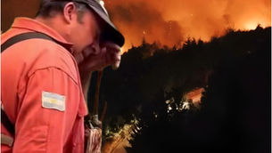 Marchan por los bosques y en apoyo a los brigadistas