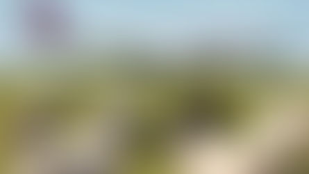 Desde la Patagonia al Golfo: un frigorífico rionegrino retoma envíos de carne ovina con destino Qatar